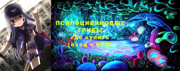 PSILOCYBIN Алексеевка