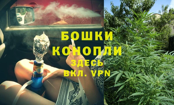 PSILOCYBIN Алексеевка