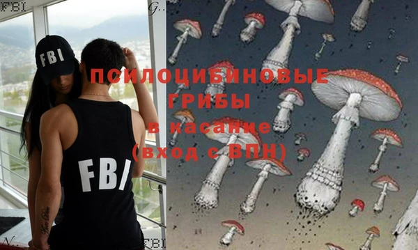 PSILOCYBIN Алексеевка