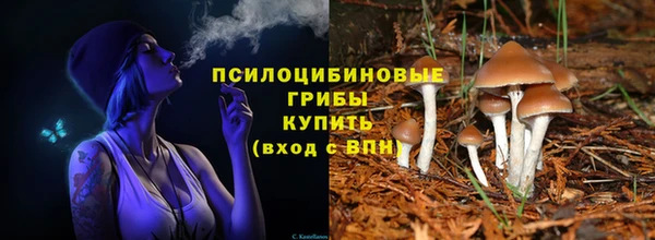 мяу мяу мука Алзамай
