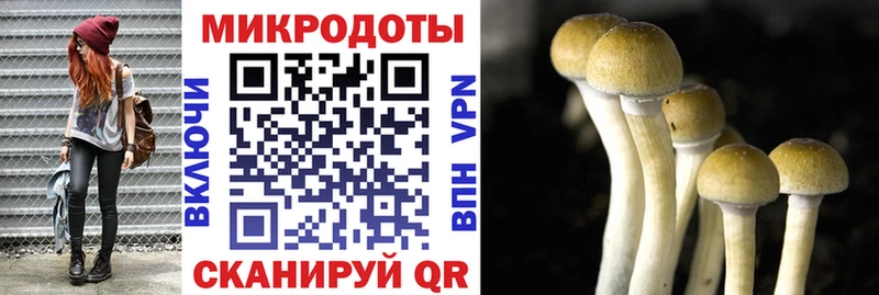 даркнет клад Тихвин Псилоцибиновые грибы прущие грибы цена наркотик