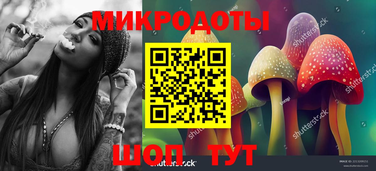 Галлюциногенные грибы мицелий Тихвин