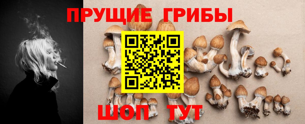 Галлюциногенные грибы Cubensis  Вход с VPN  Тихвин 